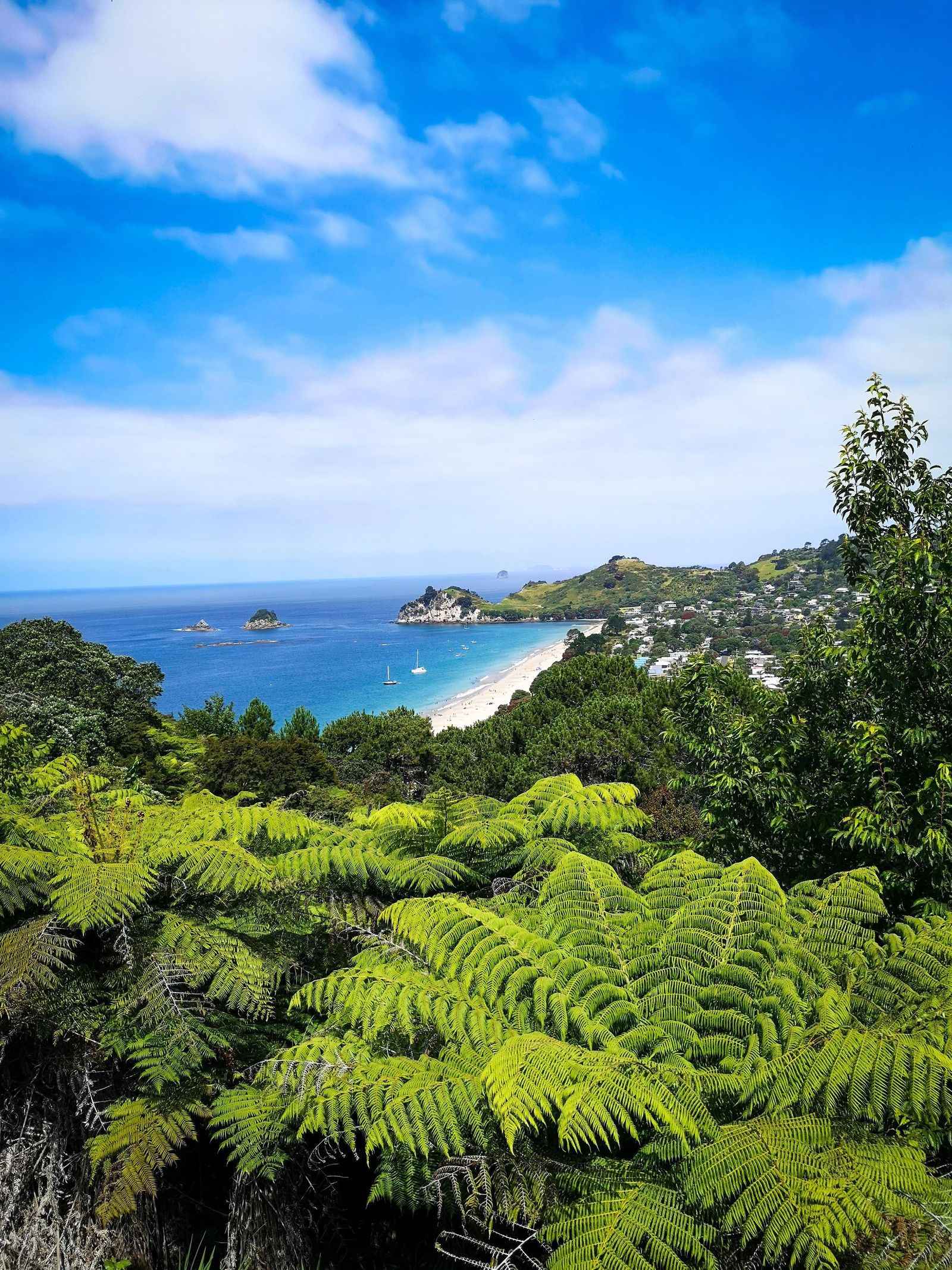 Discover The Magic Of Coromandel Peninsula The Best Places Sarah