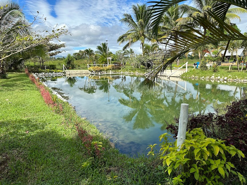 Sabeto Hot Spring Mud Pool and Tours | 2+ reviews by local experts