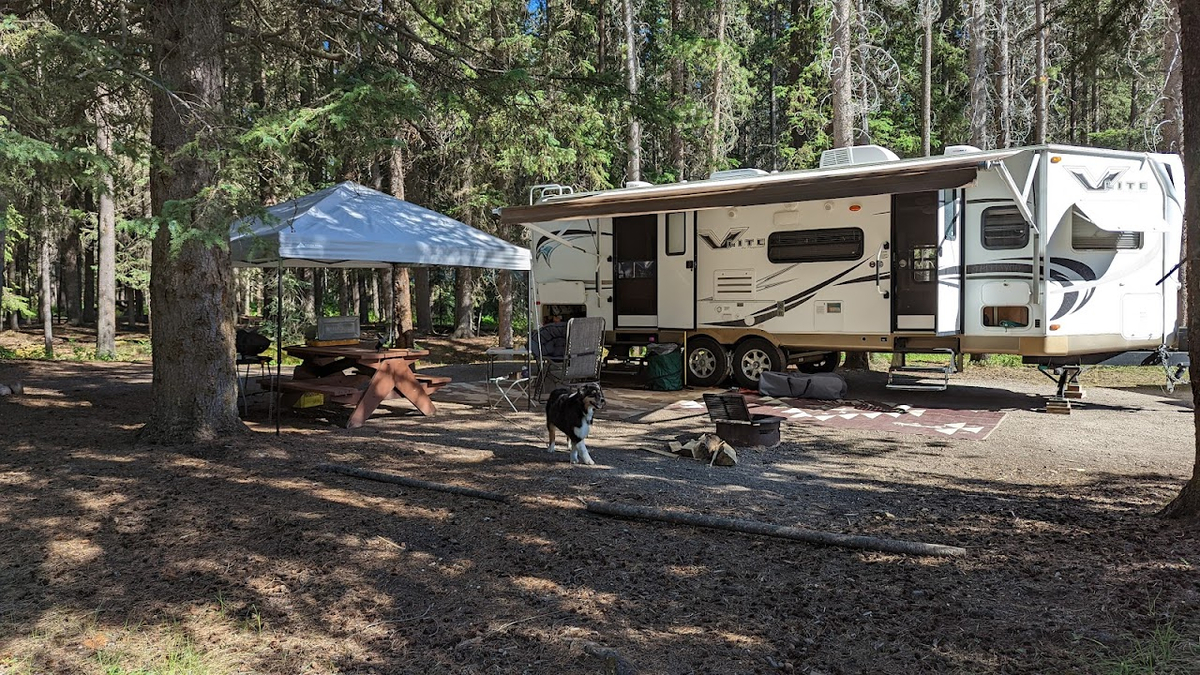 Johnston Canyon Campground 1 reviews by local experts