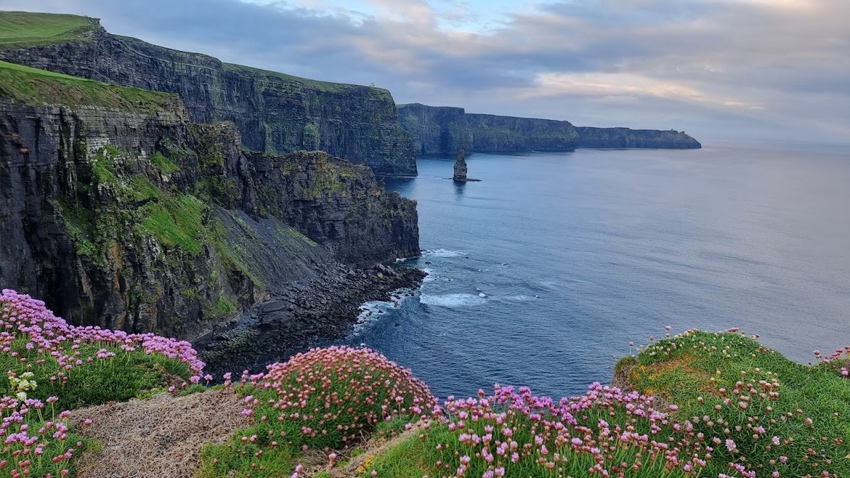 Viewing point Cliffs of Moher | 2+ reviews by local experts