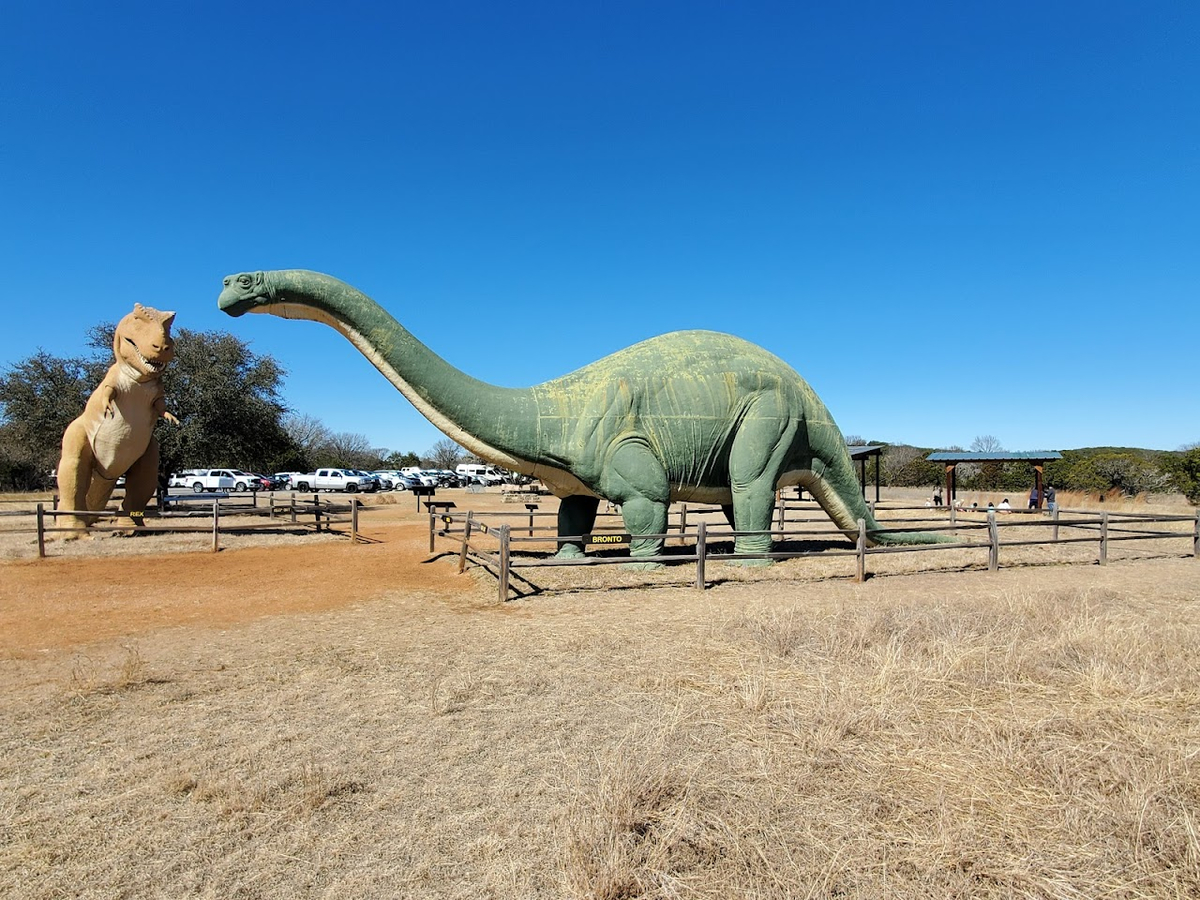 Dinosaur Valley State Park | 2+ reviews by local experts