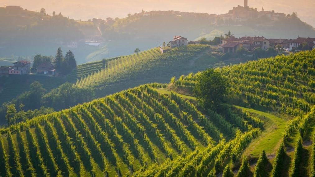 Best Wineries In Northern Italy 