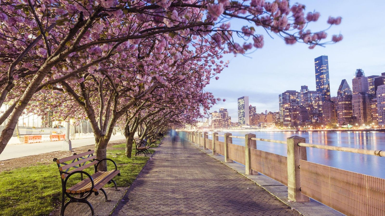 Cherry Blossoms Guide to New York City | TheNYCWalkingShow