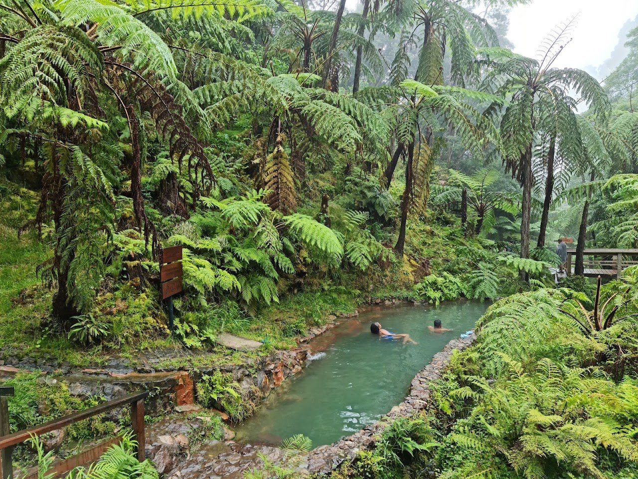 Centro de Interpretação Ambiental da Caldeira Velha | 11+ reviews by local  experts