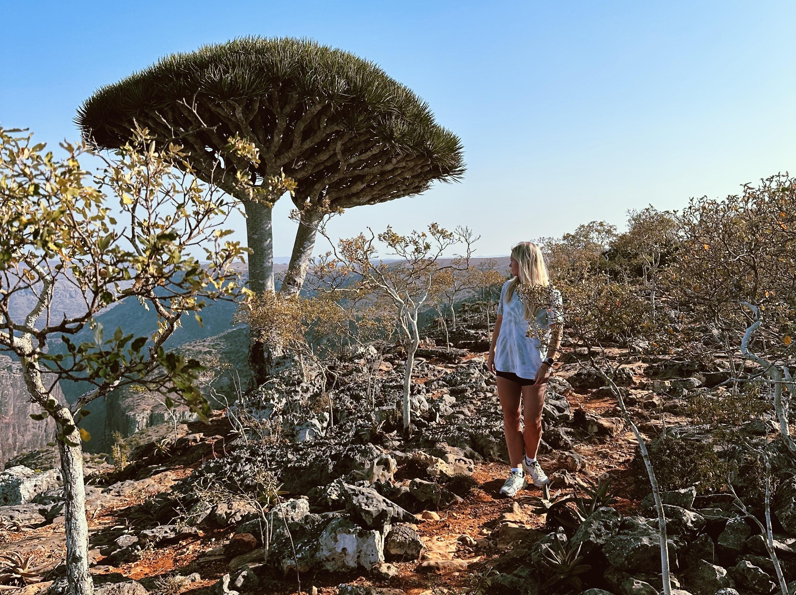 Socotra Truly a once in a lifetime adventure, and I'm excited